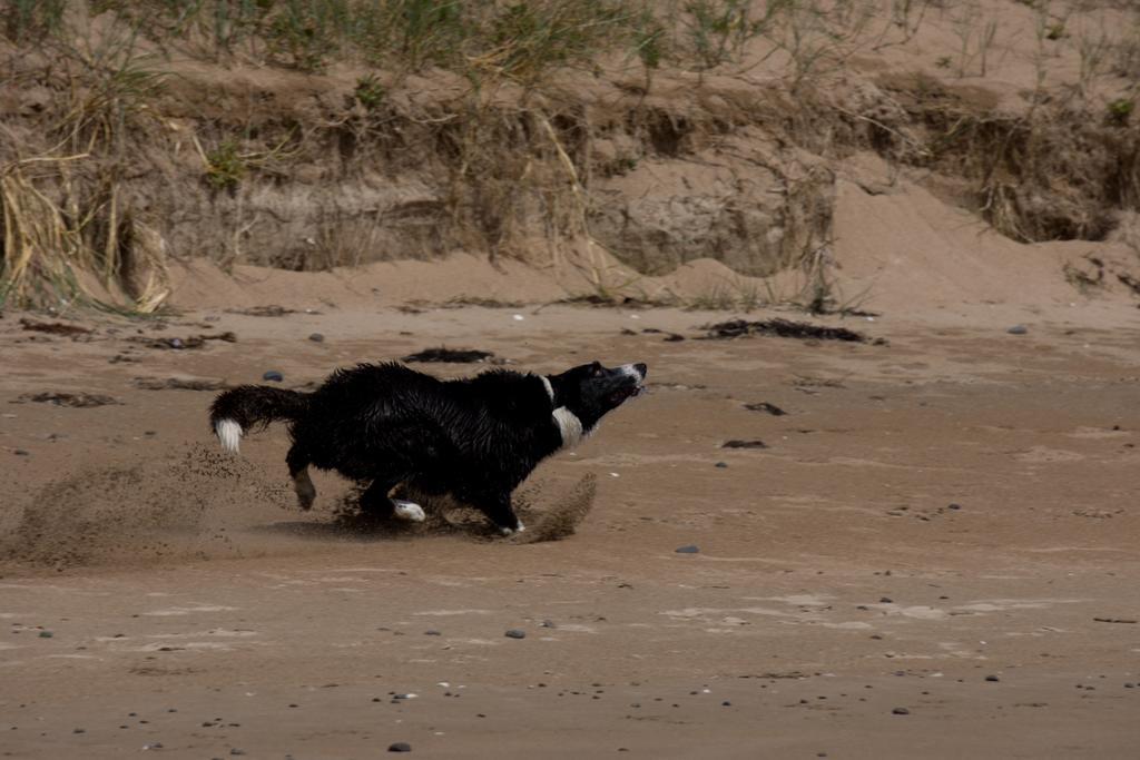 @ The Beach & Not Quite @ The Beach Holiday Cottages - Stanley Bagian luar foto